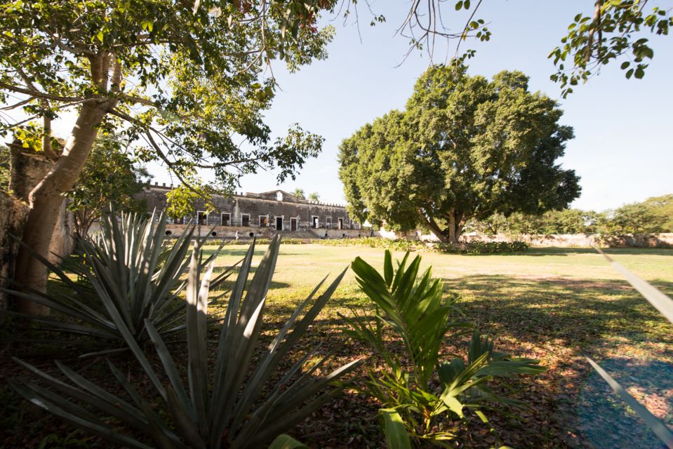 From Merida: Uxmal, Hacienda Yaxcopoil and Cenote With Lunch - Swim at Cenote Peba