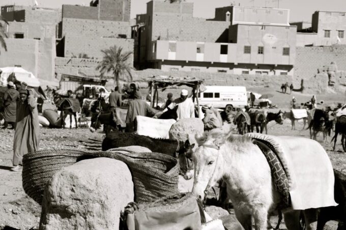 From Merzouga: Private 4x4 Dunes Tour Incl. Lunch - Included Amenities