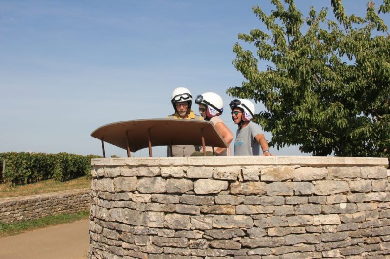 From Meursault: Private Sidecar Tour & Vineyard Wine Tasting - Experience Highlights