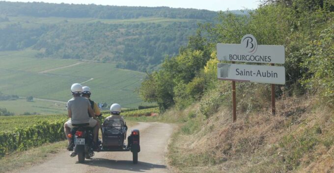 From Meursault: Private Sidecar Tour & Vineyard Wine Tasting - Tips for Participants