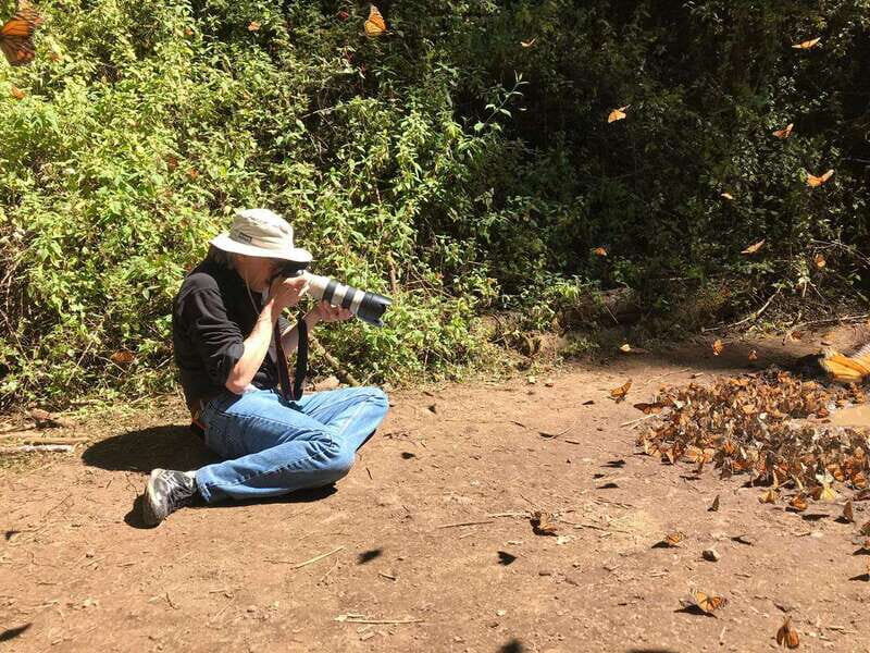 From Mexico City: 7-Day Monarch Butterfly Tour - A Detailed Look at Each Day