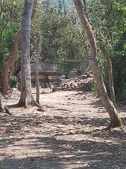 From Mexico City: El Tajín Day Trip with Guide - Final Thoughts: Who Is This Tour Best For?