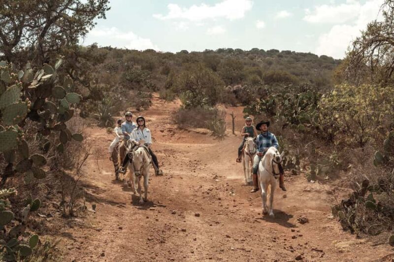 From Mexico City: Horseback Riding in Mexico - An Overview of the Experience