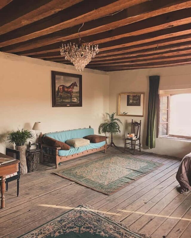 From Mexico City: Horseback Riding in Mexico - Value and Overall Impression