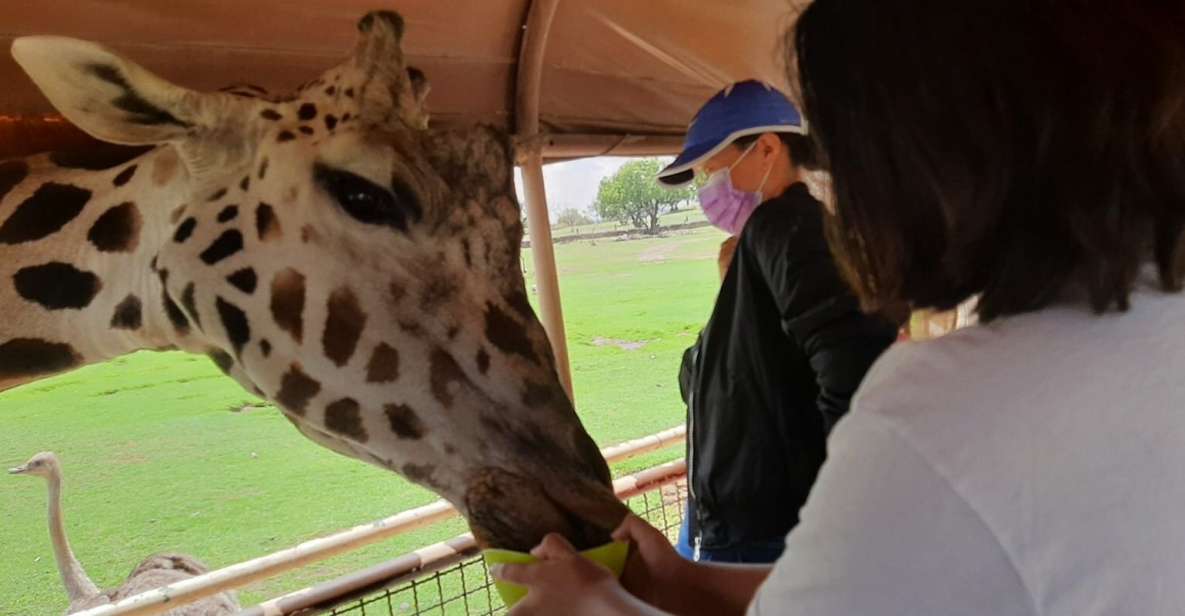 From Mexico City: Teotihuacan Tour & Reino Animal For Kids - Key Points