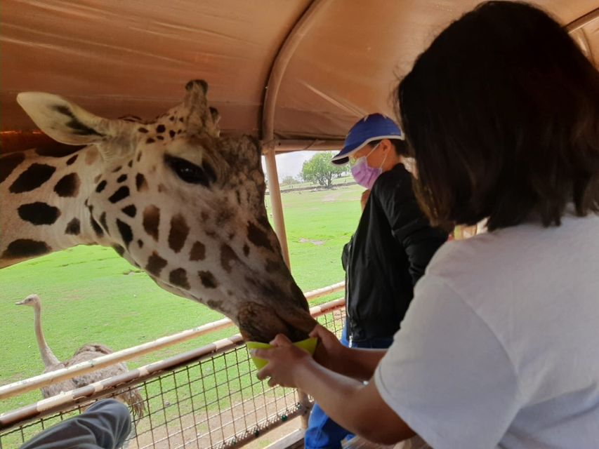 From Mexico City: Teotihuacan Tour & Reino Animal For Kids - Highlights