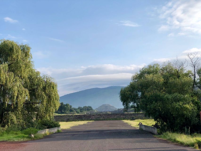 From Mexico City: Teotihuacan Tour & Reino Animal For Kids - Frequently Asked Questions