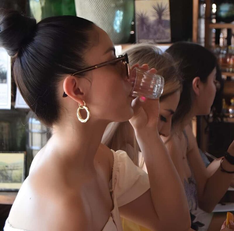 From Mexico City, VIP Tour to Teotihuacan: Pyramids, Beer, and Mezcal - Final Thoughts