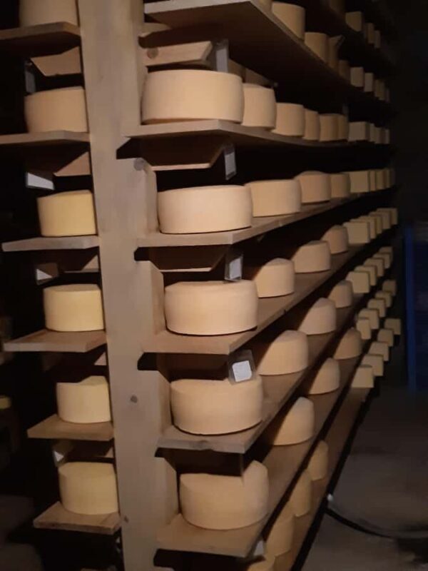 From Mexico City: Wine, Cheese, and Art Culinary Tour in Queretaro - Frequently Asked Questions