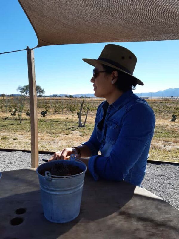 From Mexico City: Wine, Cheese, and Art Culinary Tour in Queretaro - Final Thoughts