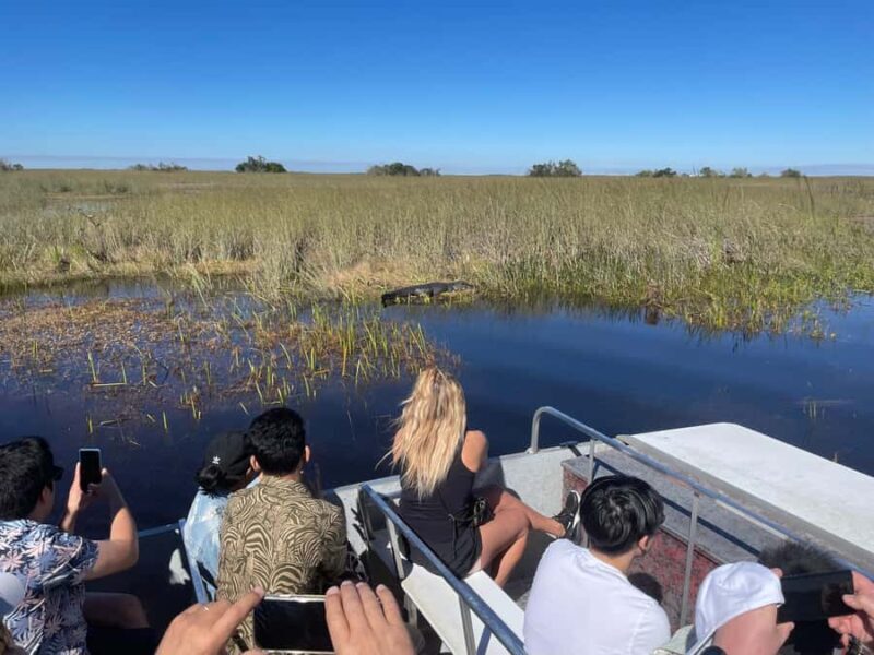 From Miami: Everglades Airboat Gator Spotting Tour - The Itinerary: What to Expect