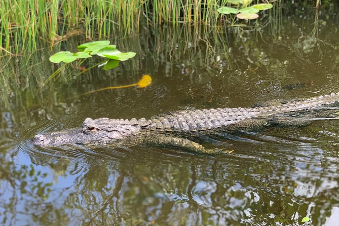 From Miami: Everglades Airboat, Wildlife Show, and Roundtrip Bus - Common Issues and Customer Service Responses