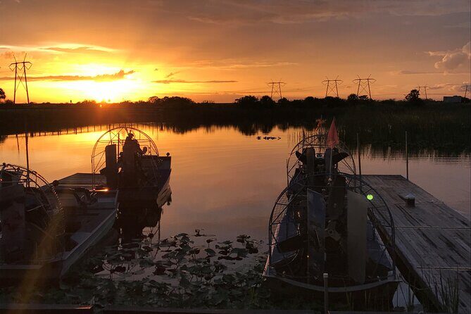 From Miami: Everglades at Night with Airboat and Alligators Tour - An In-Depth Look at the Everglades at Night Tour