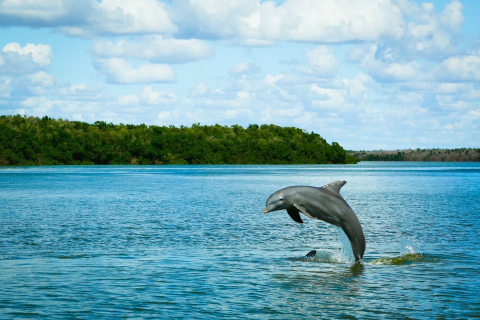 From Miami: Everglades Tour W/ Wet Walk, Boat Trips, & Lunch - Wetlands Experience