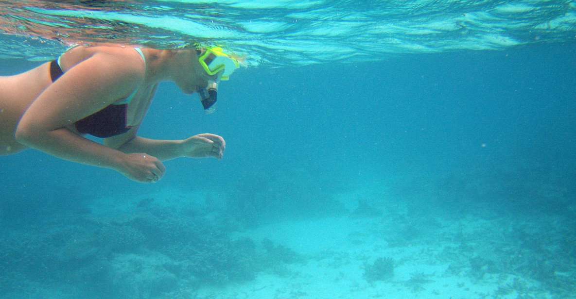 From Miami: Key West Day Trip - Inclusions and Pickup