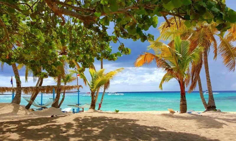 From miches: Isla Catalina Snorkeling Tour with Lunch - Key Points