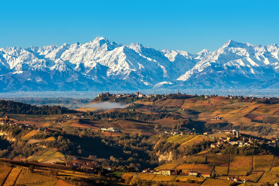 From Milan: Barolo Wine Tasting, Alba Tour and Castle Visit - Introduction: Why This Tour Is Worth Your Time