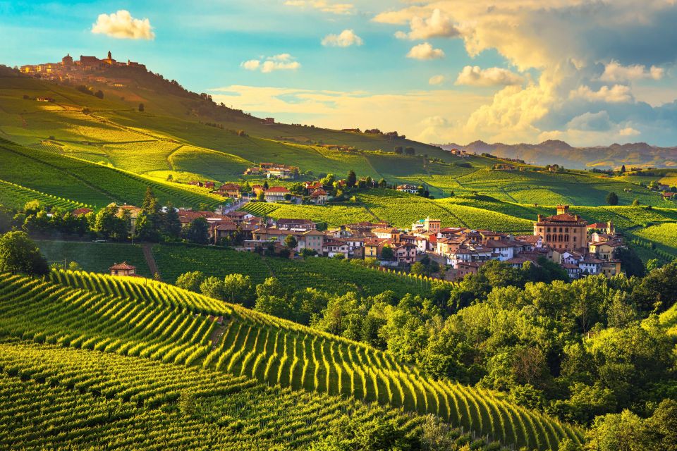 From Milan: Barolo Wine Tasting, Alba Tour and Castle Visit - Key Points