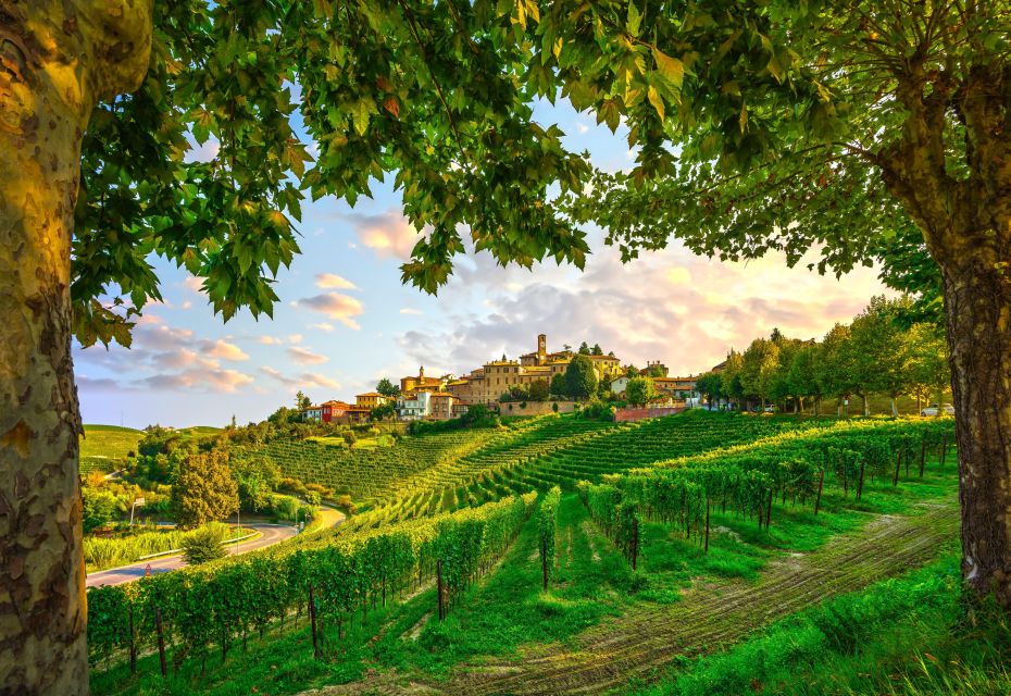 From Milan: Barolo Wine Tasting, Alba Tour and Castle Visit - Itinerary