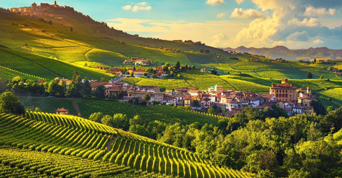 From Milan: Barolo Wine Tasting, Alba Tour and Castle Visit - Highlights