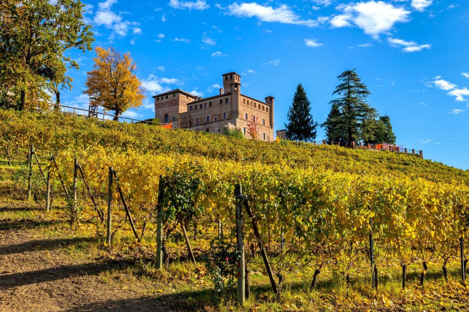From Milan: Barolo Wine Tasting, Alba Tour and Castle Visit - Inclusions