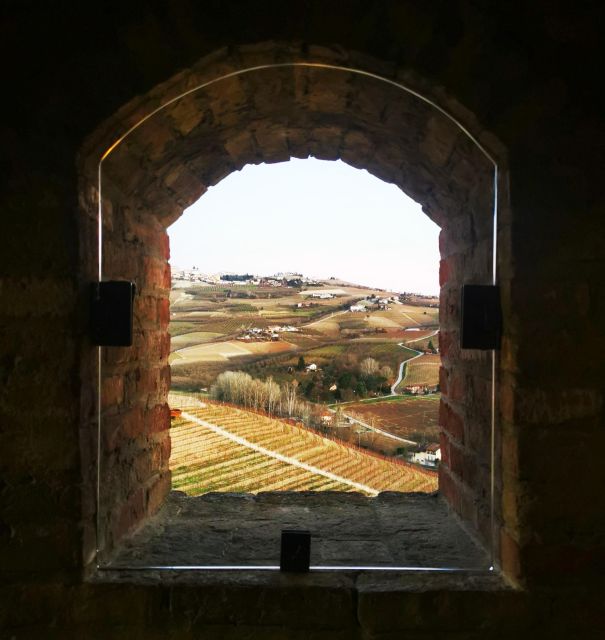From Milan: Barolo Wine Tasting, Alba Tour and Castle Visit - Winery Visit and Tasting