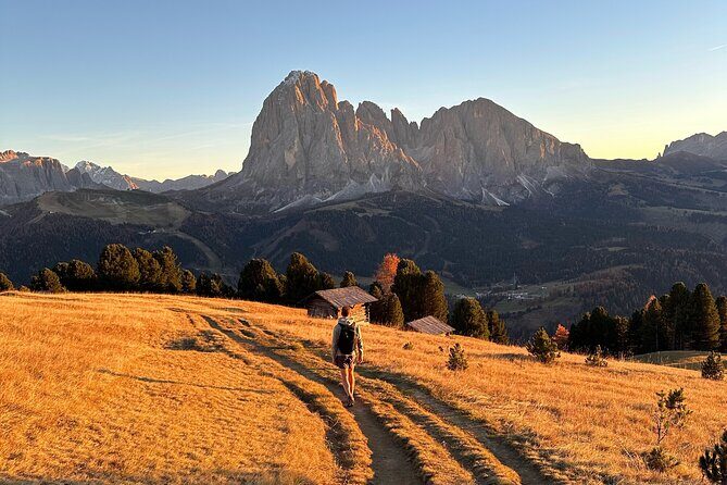 From Milan/Como/Varenna: Panoramic Hiking Tours near Lake Como - Price and Value