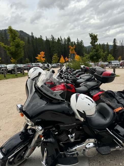 From Milan: Harley Davidson motorcycle tour in 5 countries unique experience! - Detailed Itinerary Breakdown