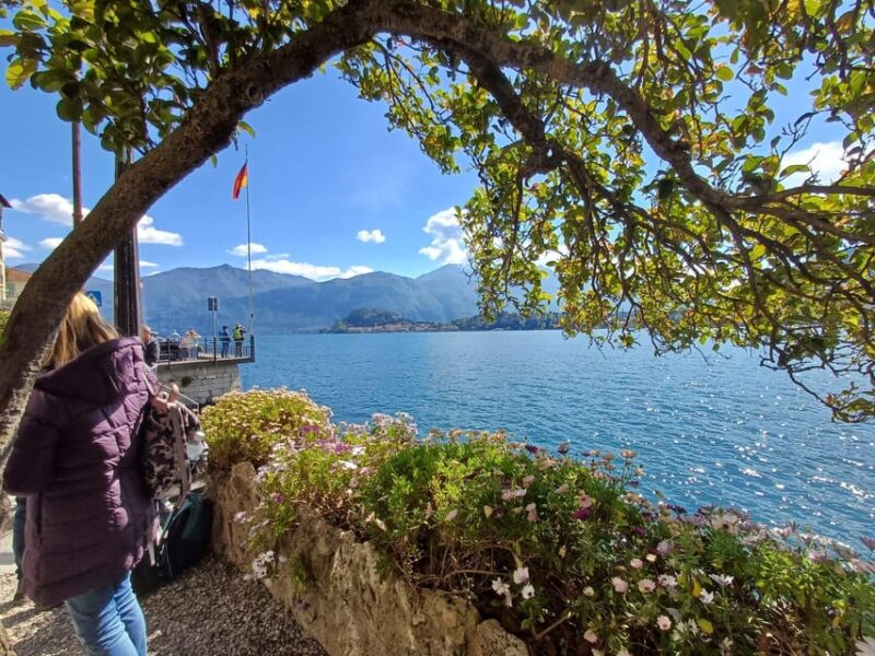 From Milan: Lake Como and Bernina Train Day Trip - Inclusions and Requirements