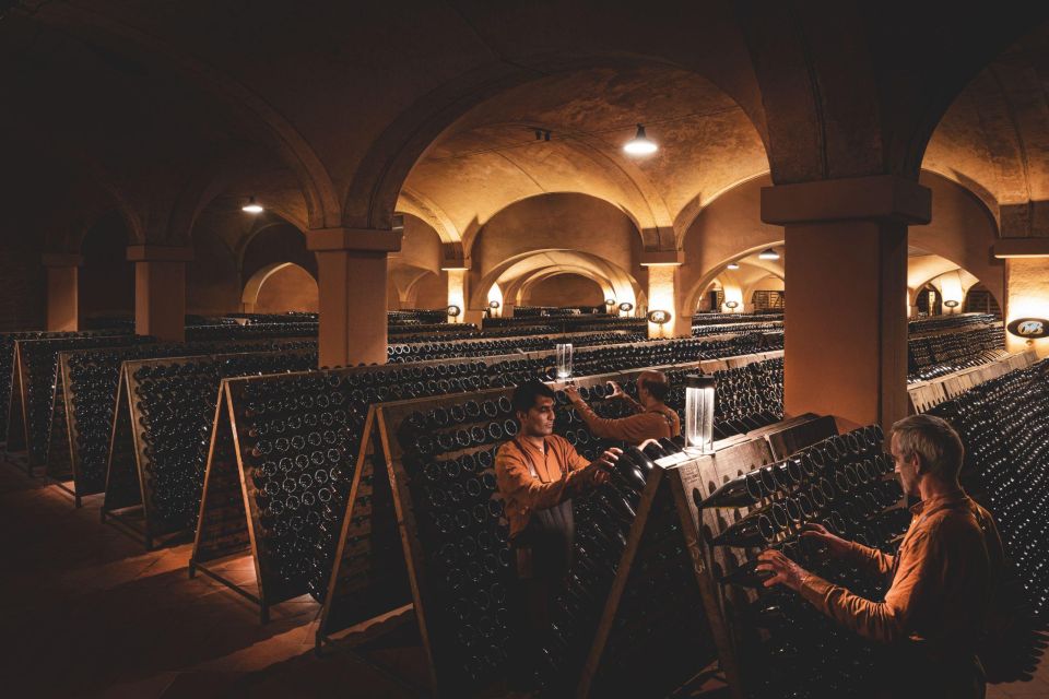 From Milan: Lake Iseo, Bergamo & Franciacorta Wine Tour - Activities Included