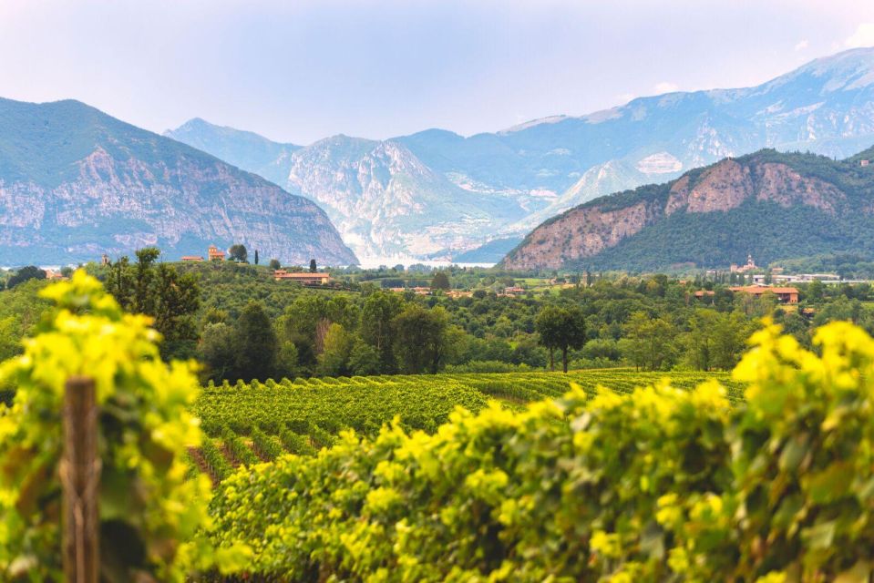 From Milan: Lake Iseo, Bergamo & Franciacorta Wine Tour - Highlights