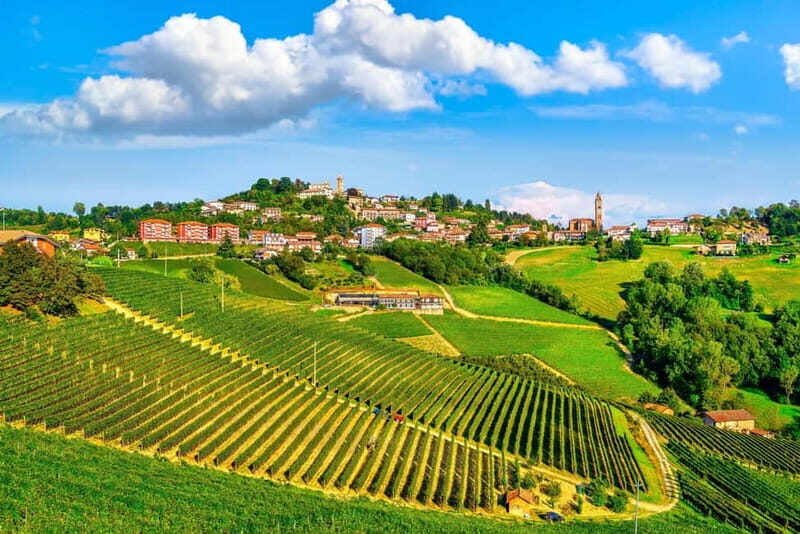 From Milan: Langhe Wine Region Day Trip with Barolo Tasting - Practical Details
