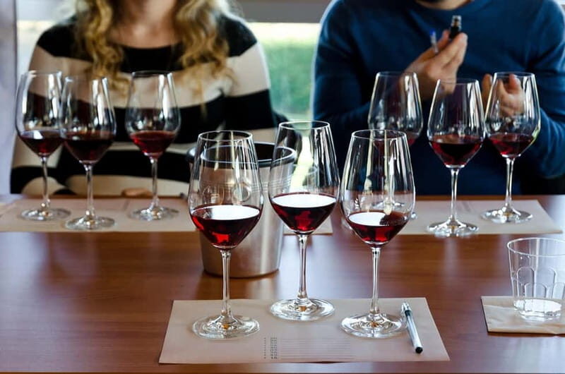 From Milan: Langhe Wine Region Day Trip with Barolo Tasting - Who Will Love This Tour?
