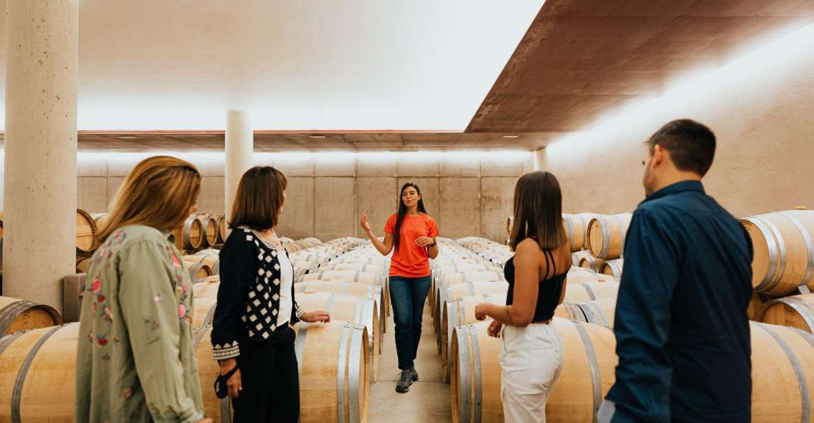 From Milan: Piemonte Private Wine Tour With a Private Driver - Luxury Car and Amenities