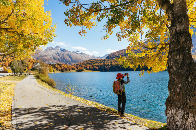 From Milan: St. Moritz and Panoramic Bernina Express Tour - Itinerary Details