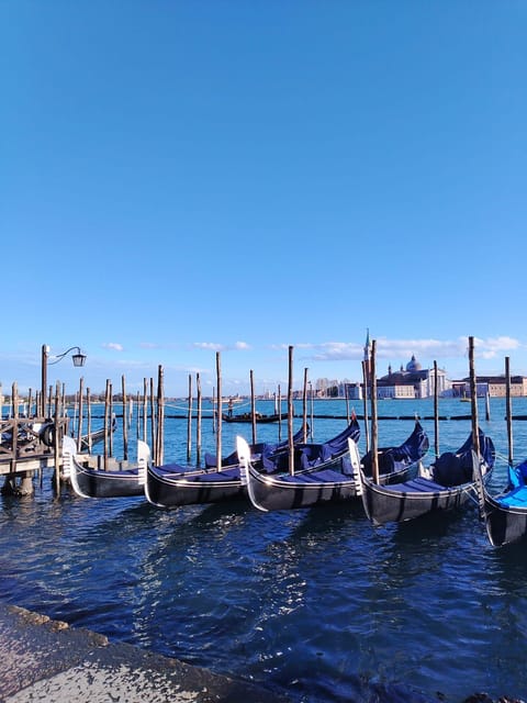 From Milan: Venice City Highlights Guided Day Trip - Key Points