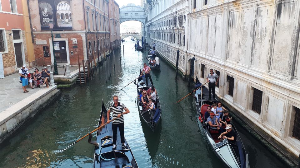 From Milan: Venice City Highlights Guided Day Trip - What to Expect on This Day Trip to Venice