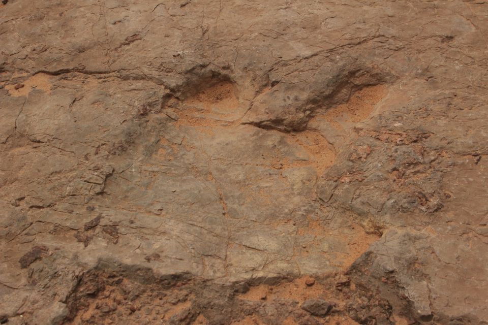 From Moab: Half-Day Arches National Park 4x4 Driving Tour - Important Information