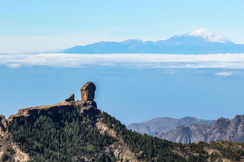 From Mogán/Maspalomas/Arguineguín: Gran Canaria Day Tour - Frequently Asked Questions