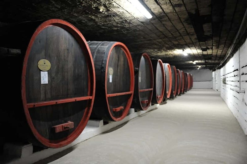 From Moldova: Tour to Cricova Winery with wine tasting - Authentic Experiences and Genuine Feedback