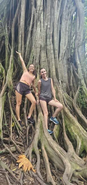 From Montego Bay: Blue Hole Waterfall Experience - The Verdict: Is It Worth Your Time?