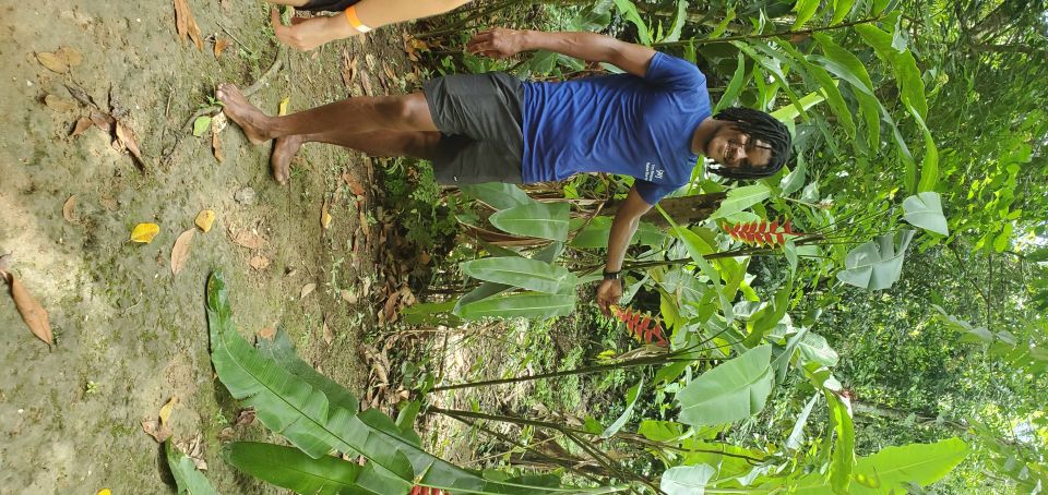 From Montego Bay: Blue Hole Waterfall Experience - Exploring Island Gully Falls