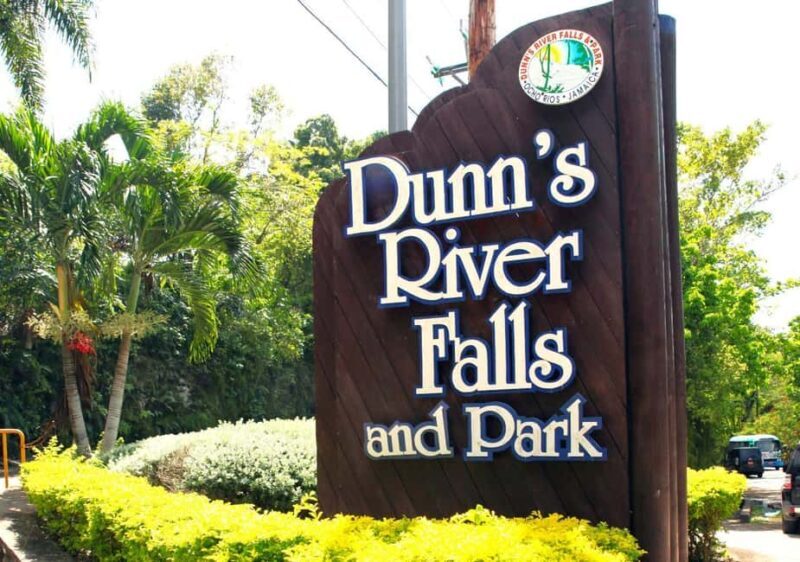 From Montego Bay: Dunns River Falls Experience - Swimming and Relaxation in the Caribbean Sea