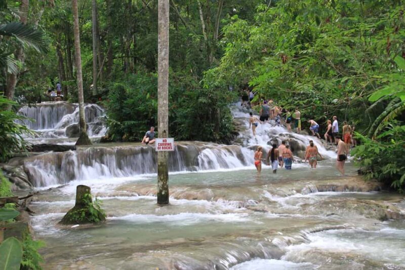 From Montego Bay: Dunns River Falls Experience - Practical Tips for the Tour