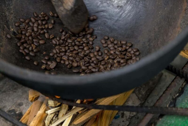 From Montego Bay/Falmouth: Coffee Farm Blue Mountain Hike - Who Will Love This Tour?