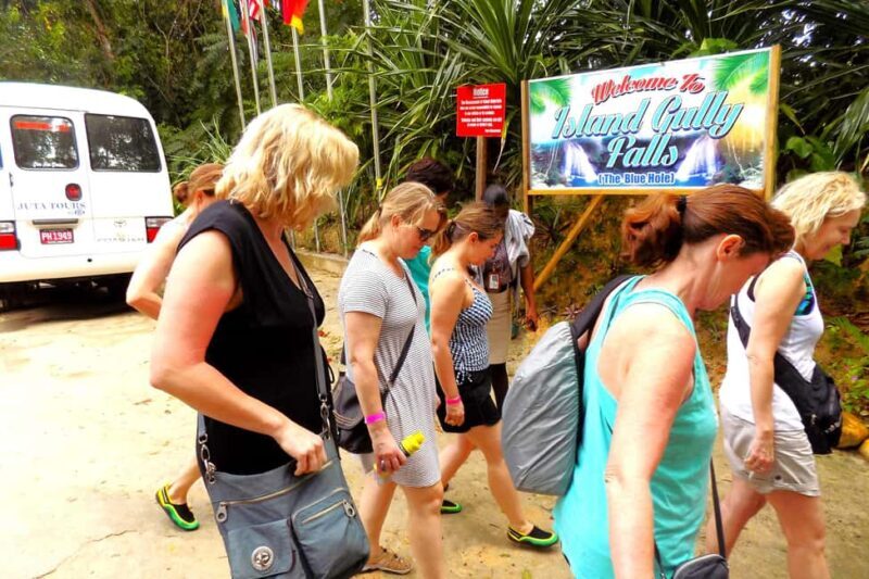 From Montego Bay: Island Gully Falls and Blue Hole Tour - What Makes This Tour Stand Out?