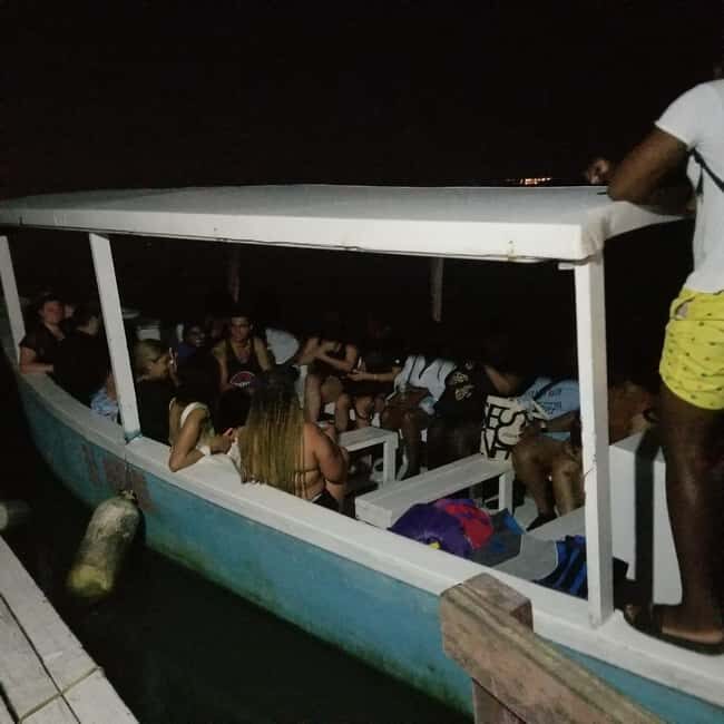 From Montego Bay: Luminous Lagoon Boat Tour with Transfer - Practical Tips
