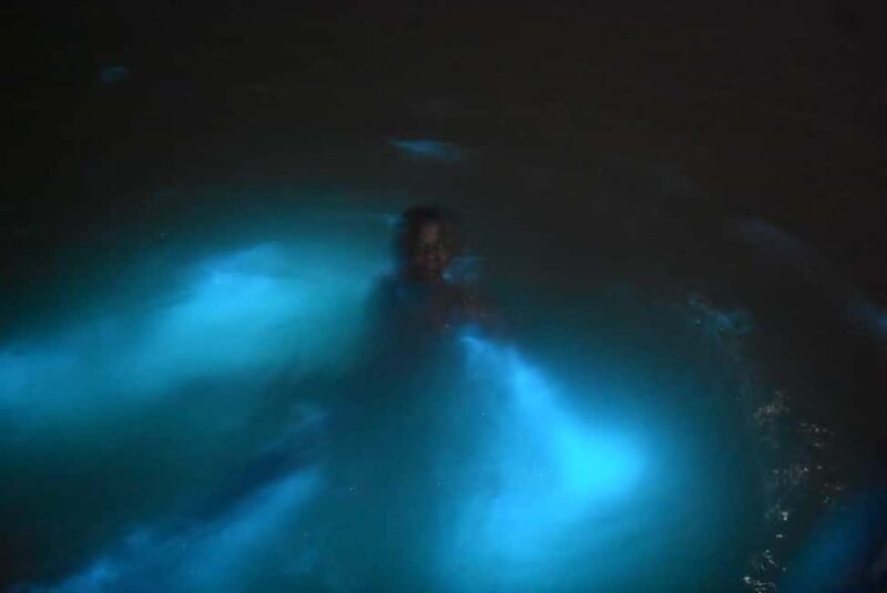 From Montego Bay: Luminous Lagoon Night Tour - A Practical Look at the Montego Bay: Luminous Lagoon Night Tour