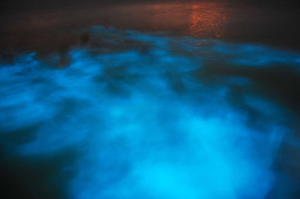 From Montego Bay: Luminous Lagoon Nighttime Boat Tour - Pickup and Drop-off Locations