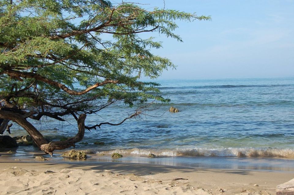 From Montego Bay: MBJ Airport to Negril Private Transfer - Pricing Options